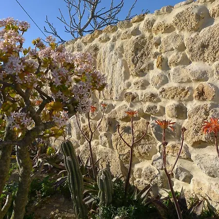 Finca Du Ressourcement Higueron Vejer de la Frontera