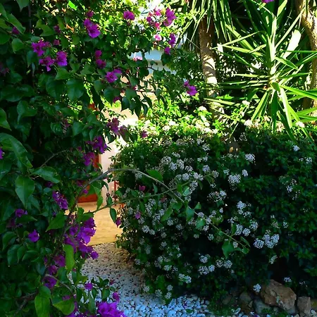 Appartement Finca Du Ressourcement Higueron