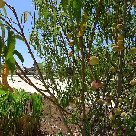 Finca Du Ressourcement Higueron Vejer de la Frontera