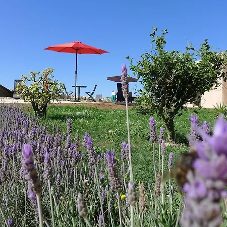 Appartement Finca Du Ressourcement Higueron *