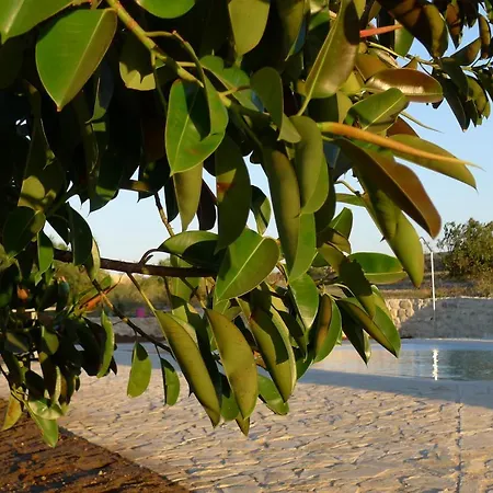 Appartement Finca Du Ressourcement Higueron Vejer de la Frontera
